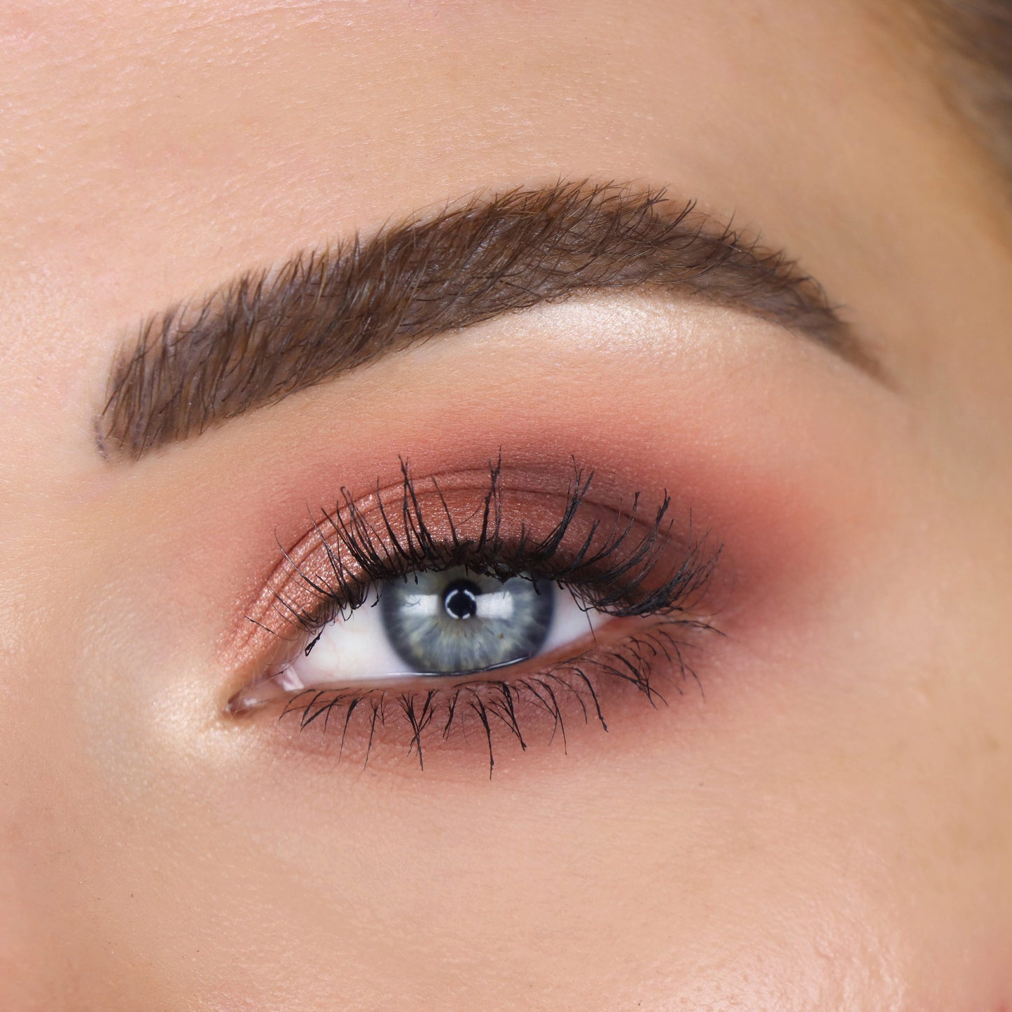 Male Order® Special Delivery Eyeshadow Palette